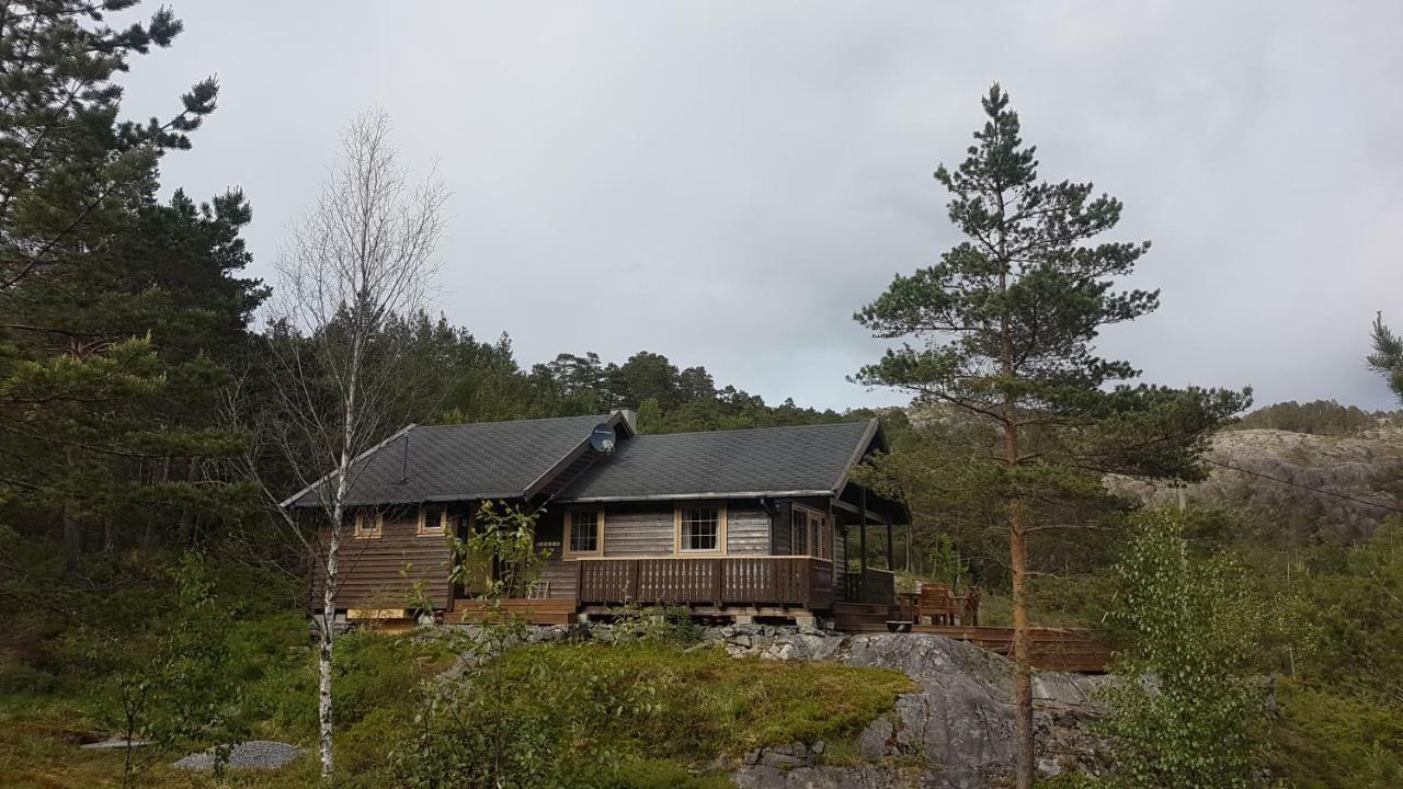 Vila Molvik Hytten Ostereidet Exteriér fotografie