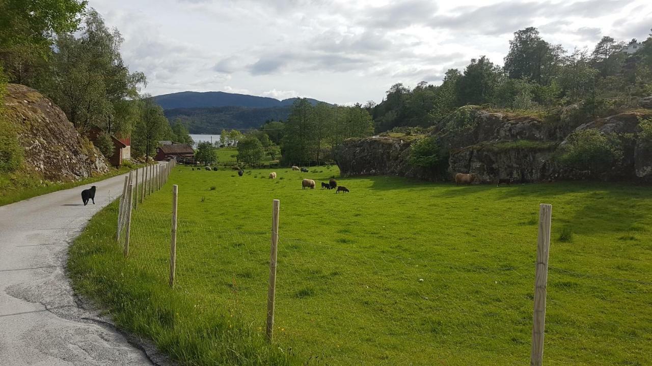 Vila Molvik Hytten Ostereidet Exteriér fotografie