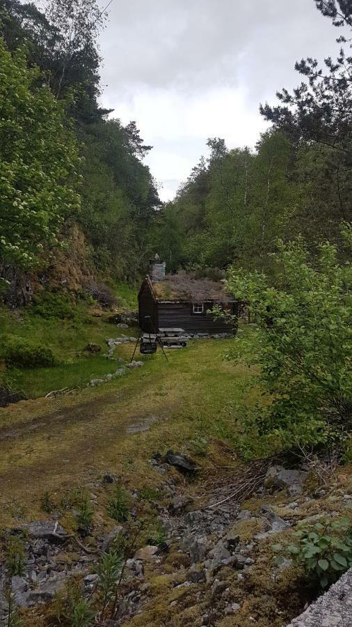 Vila Molvik Hytten Ostereidet Exteriér fotografie
