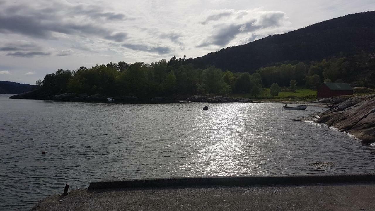 Vila Molvik Hytten Ostereidet Exteriér fotografie